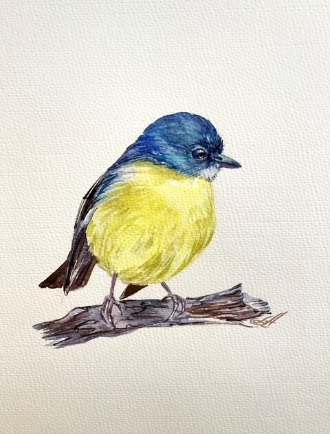 Eastern Yellow Robin Bird Watercolor Original Painting