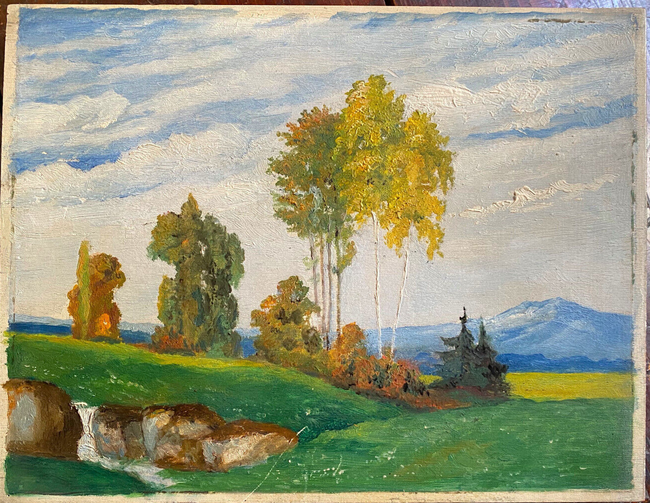 ::ÖLGEMÄLDE 1912 HÜGELIGE LANDSCHAFT MIT WIESEN BIRKEN BERGEN IN DRESDEN