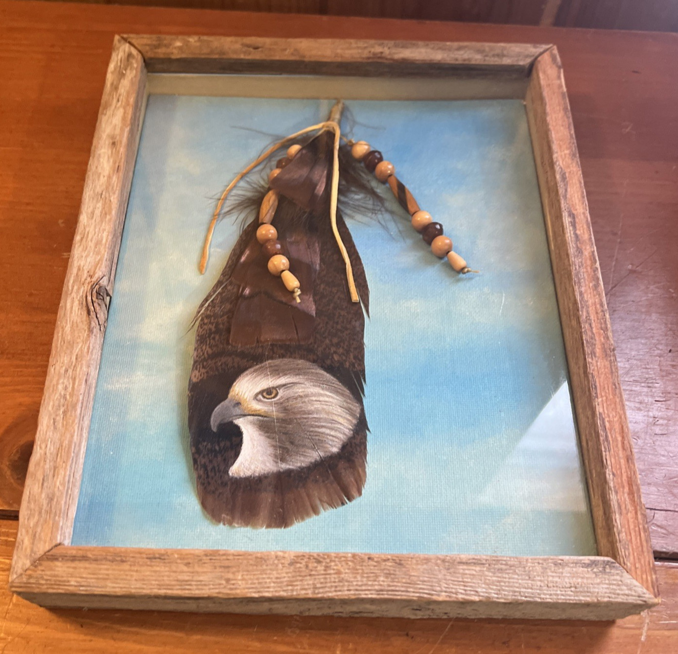 Hand-Painted Turkey Feather Art – Framed Red Tail Hawk Molly Dillon
