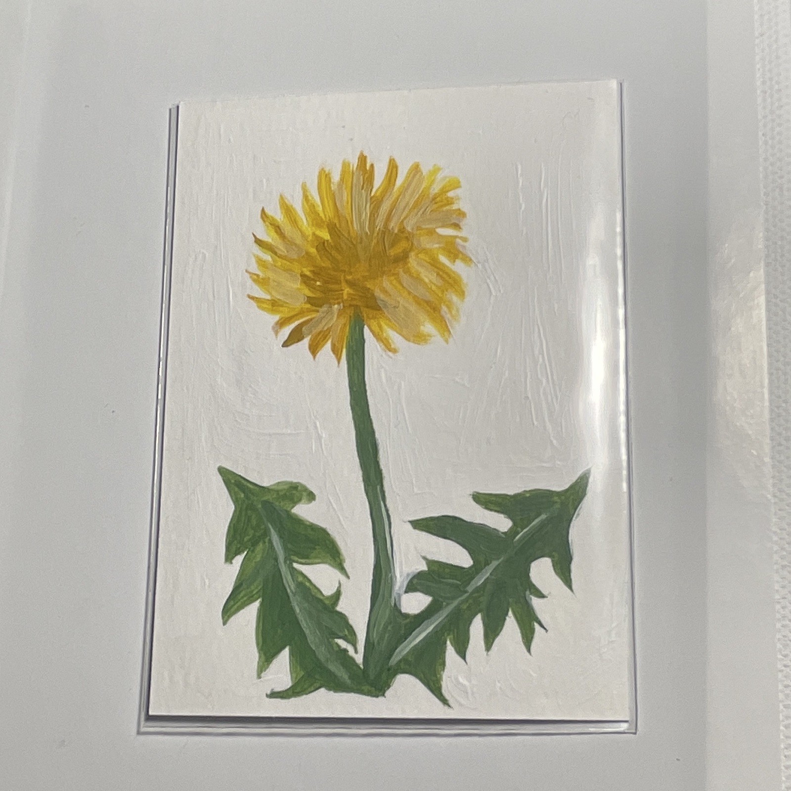 Aceo Dandelion Small Contemporary Botanical Painting on Paper Signed