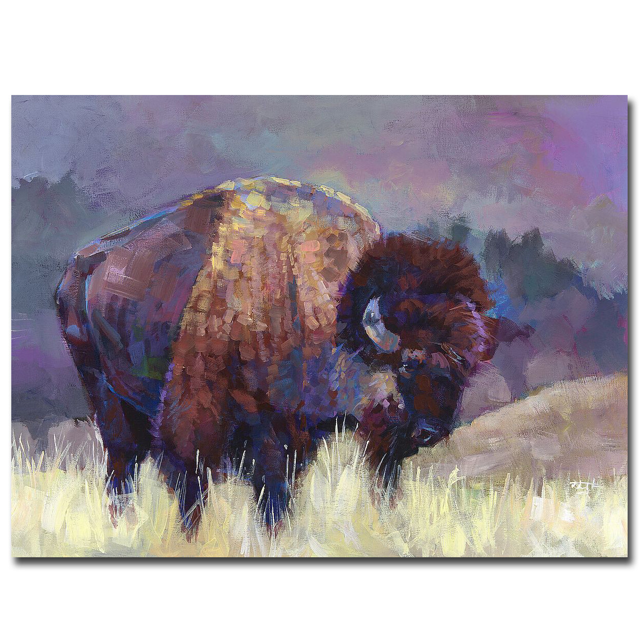 Buffalo Roam by Robert Jackson Gallery-Wrapped Canvas Giclee (24 in x 32 in)