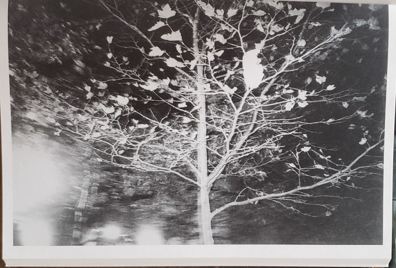 Christopher Wool “East Broadway Breakdown” (First Edition SIGNED)