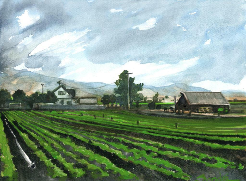 Ventura Looking East to Ojai, Ca. : SIGNED Art Print : Sandra Watercolors™