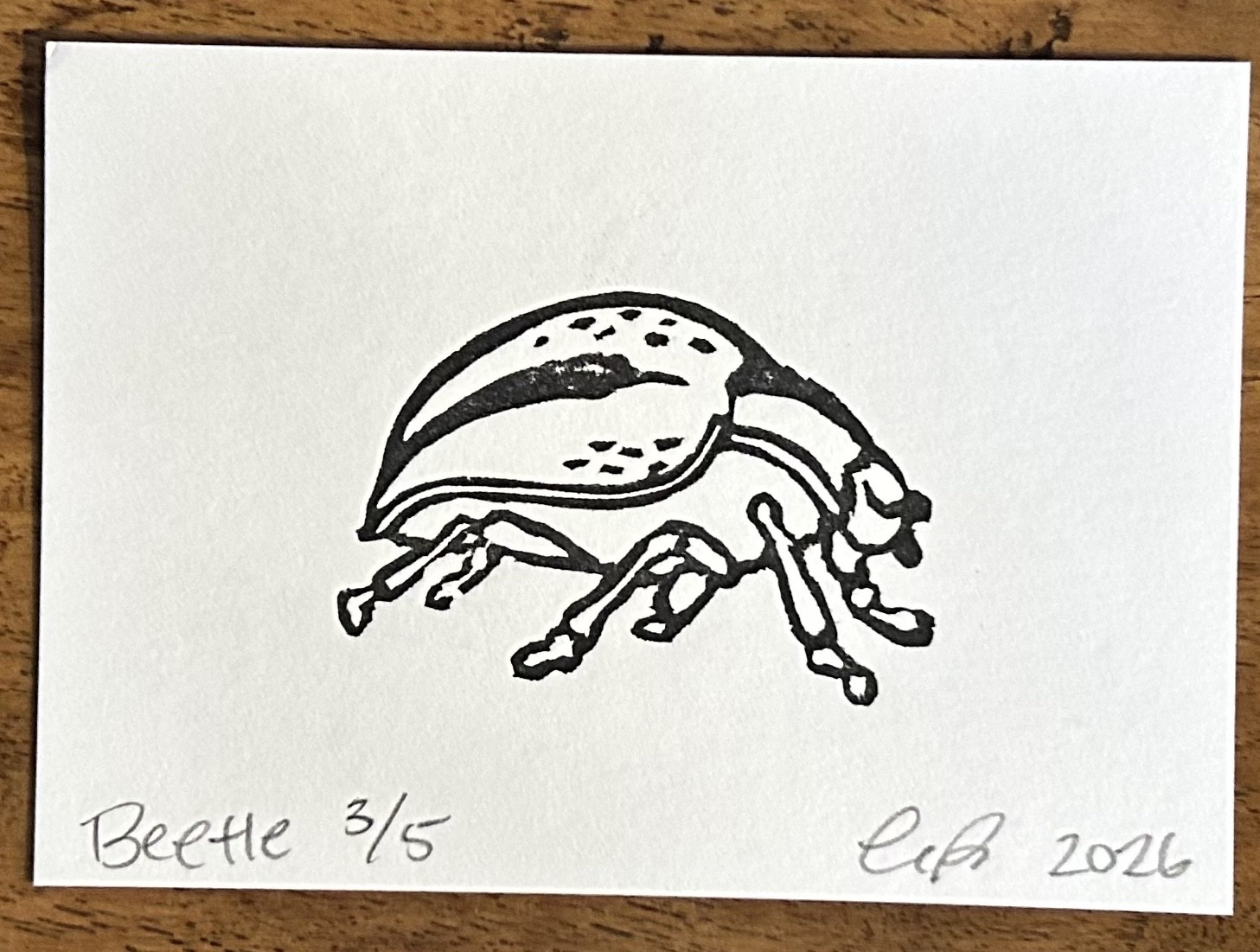 aceo original art by Emily Beck, Beetle 3/5, linocut insect art, 3.5×25″