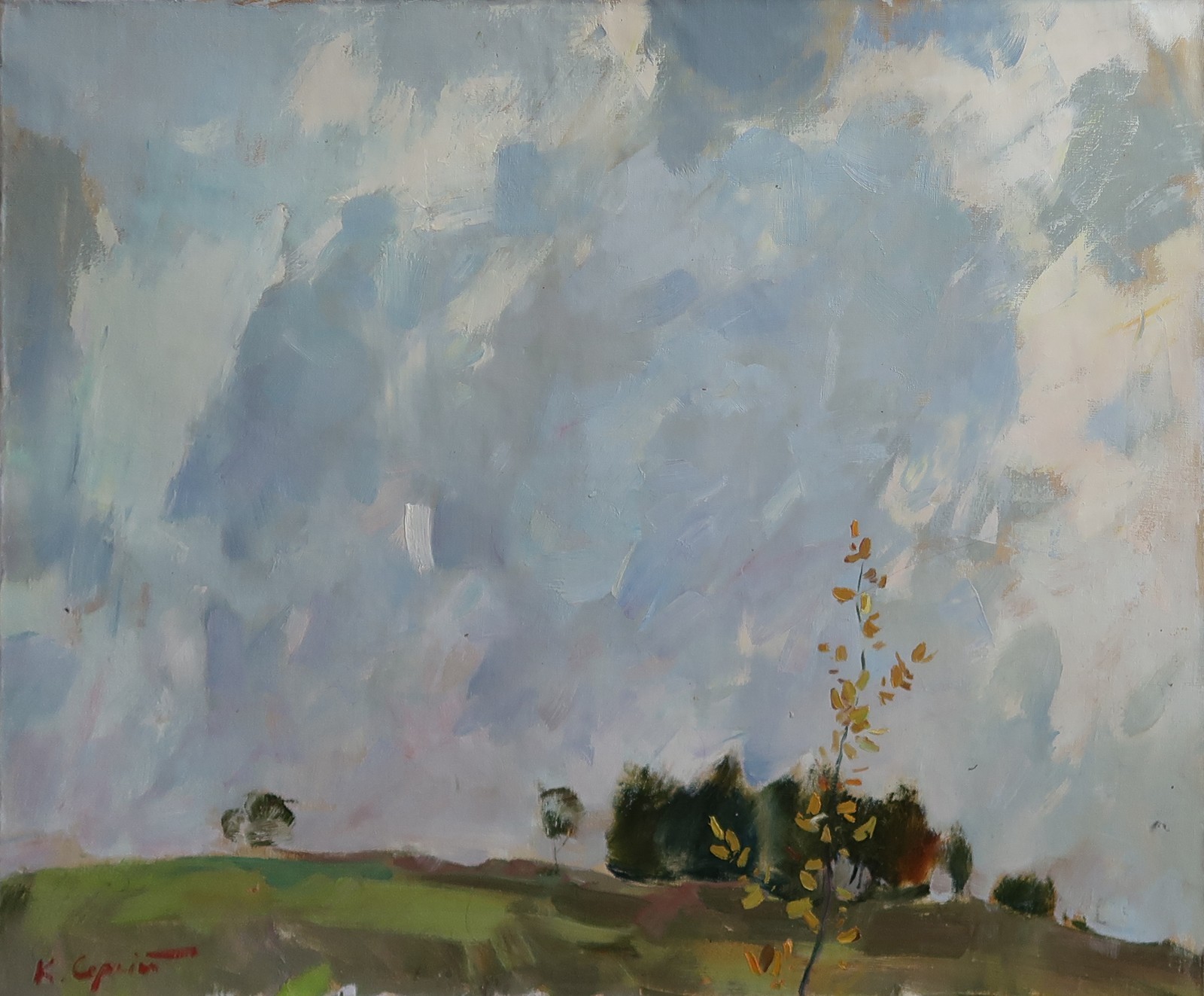 Oil painting Storm Ukrainian painter Canvas Decor Unframed original landscape