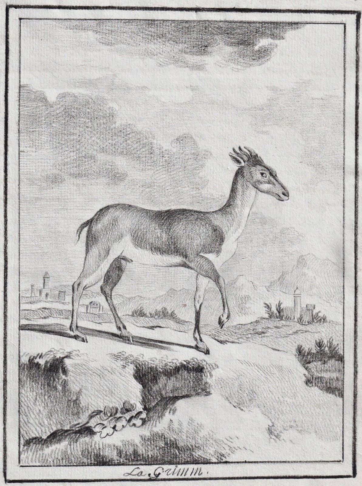 Grimm antelope antelope antelopes animals animals drawing drawing design 1780