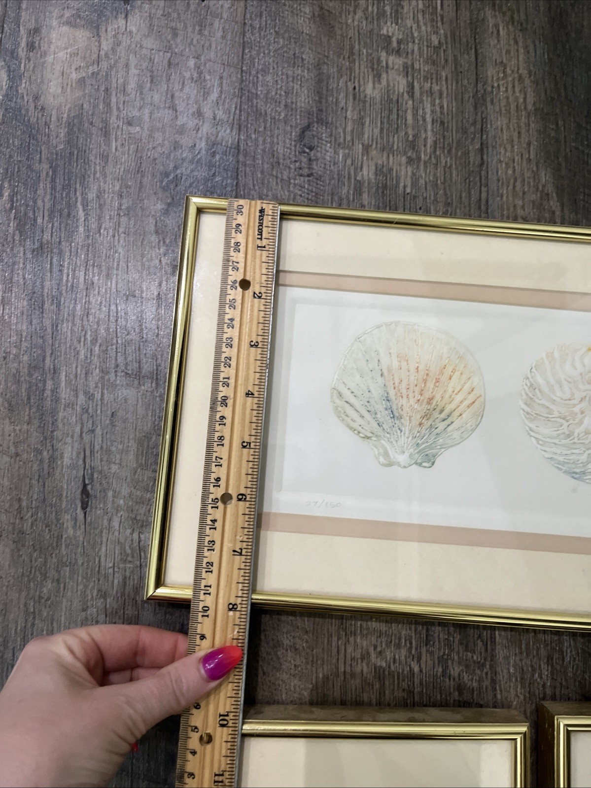 3 Vtg Matted Framed Signed And Dated Embossed Paper With Watercolor Seashells