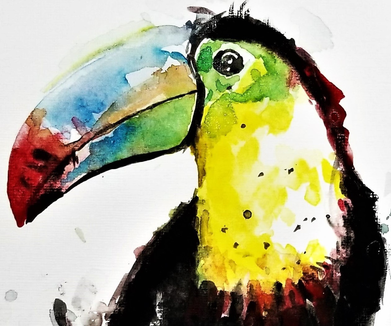 Toucan Painting on Canvas – Watercolor Giclee Art Bird Animal Wildlife 12X18