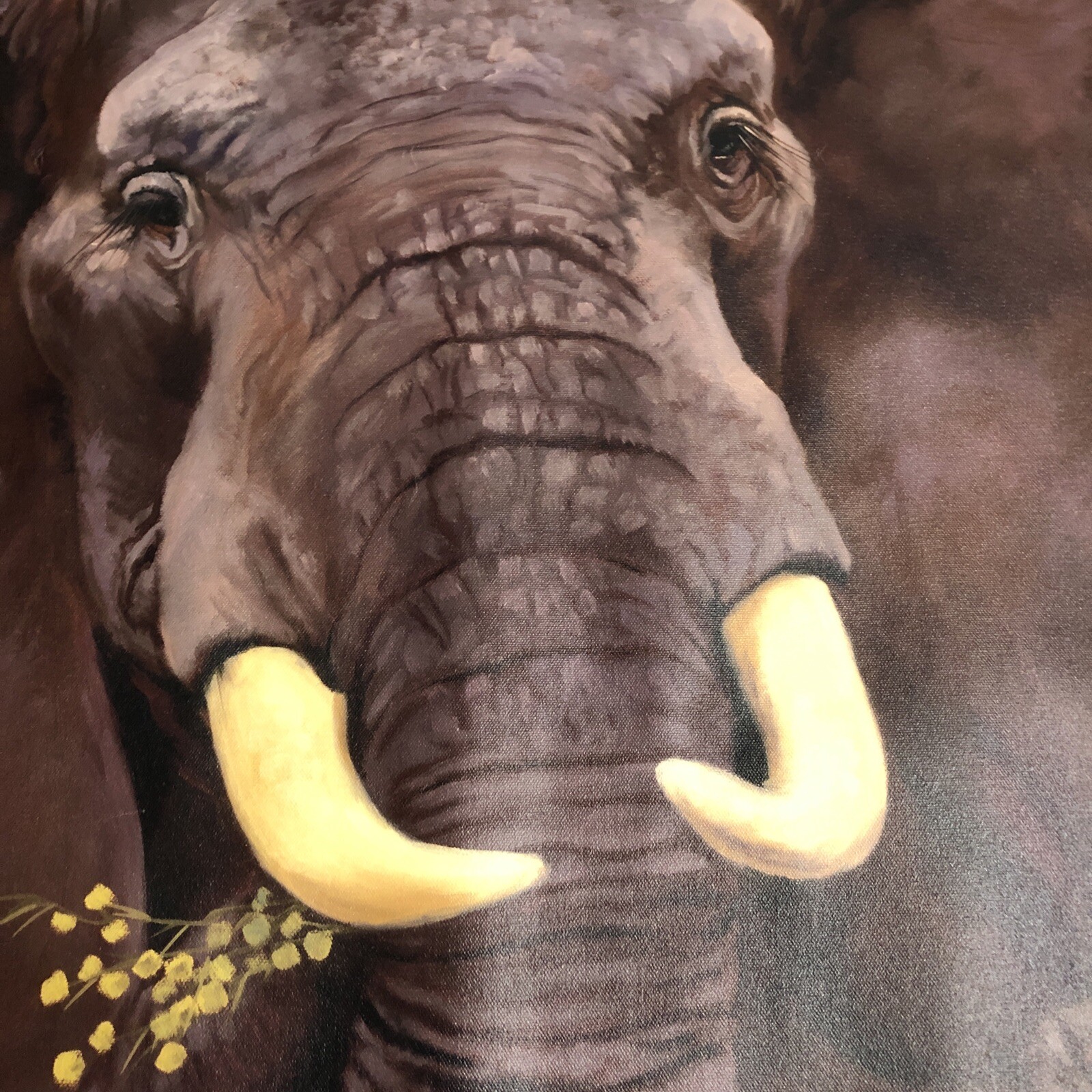 International Galleries Giclee Print Canvas Elephant Painting C. Cherry 29X39”