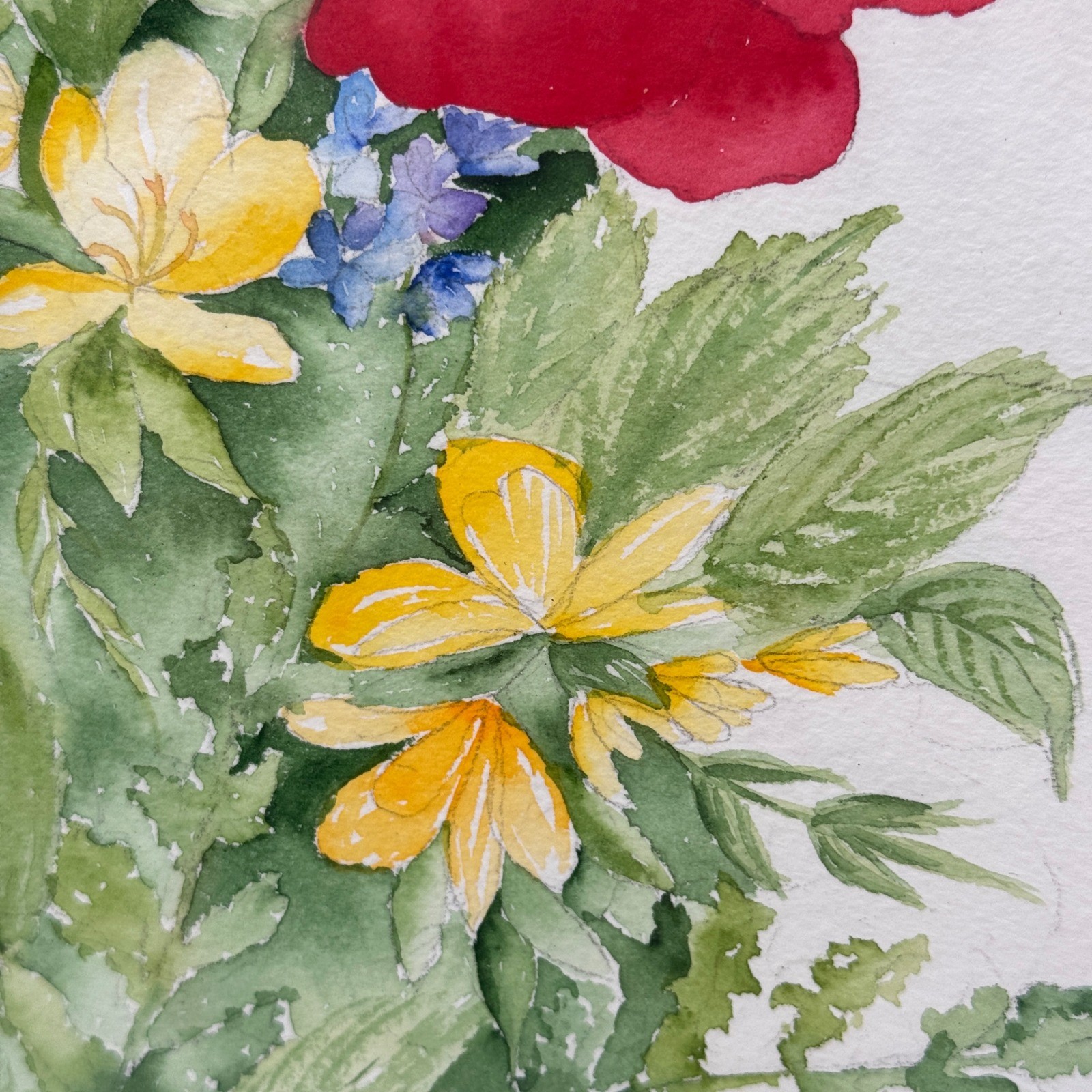 Large Original Poppy Floral Watercolor Painting 23×26