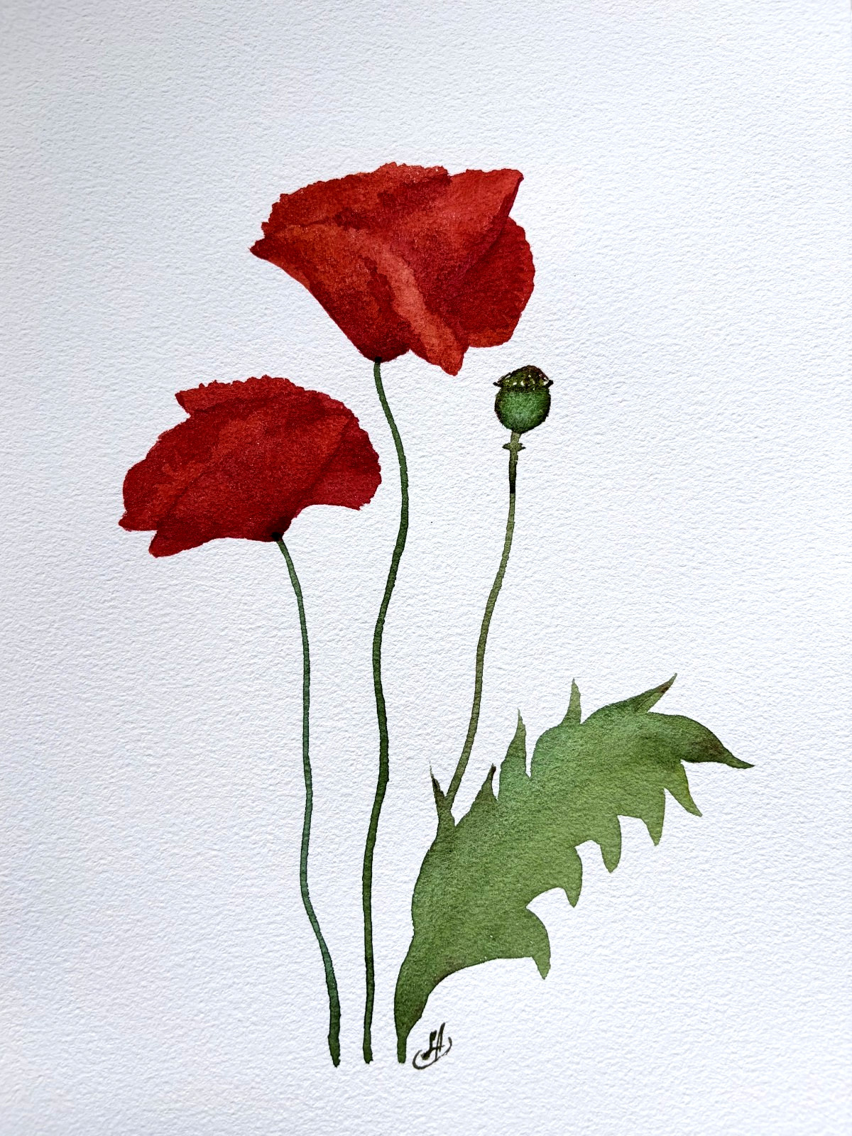 Red Poppies Watercolor Painting Original Art, Floral Botanical Artwork #2