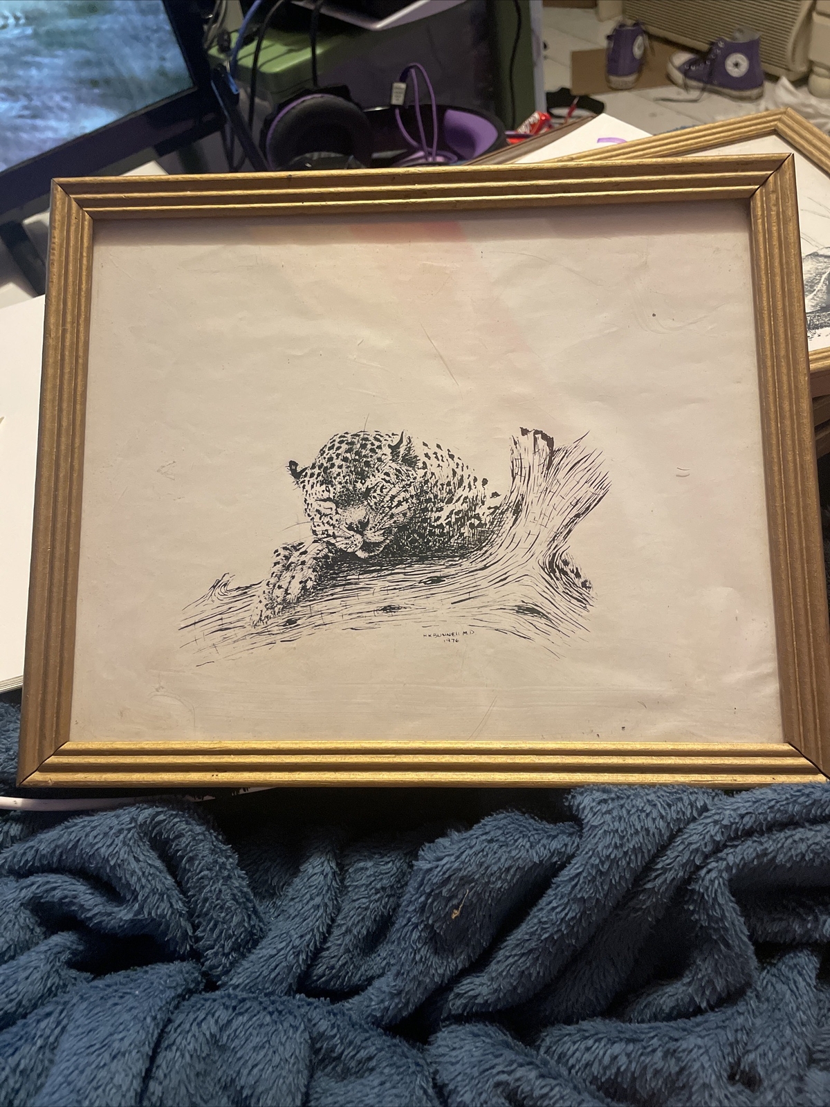 Framed vintage safari art, cheetahs, squirrels, lions, new condition (100$ each)