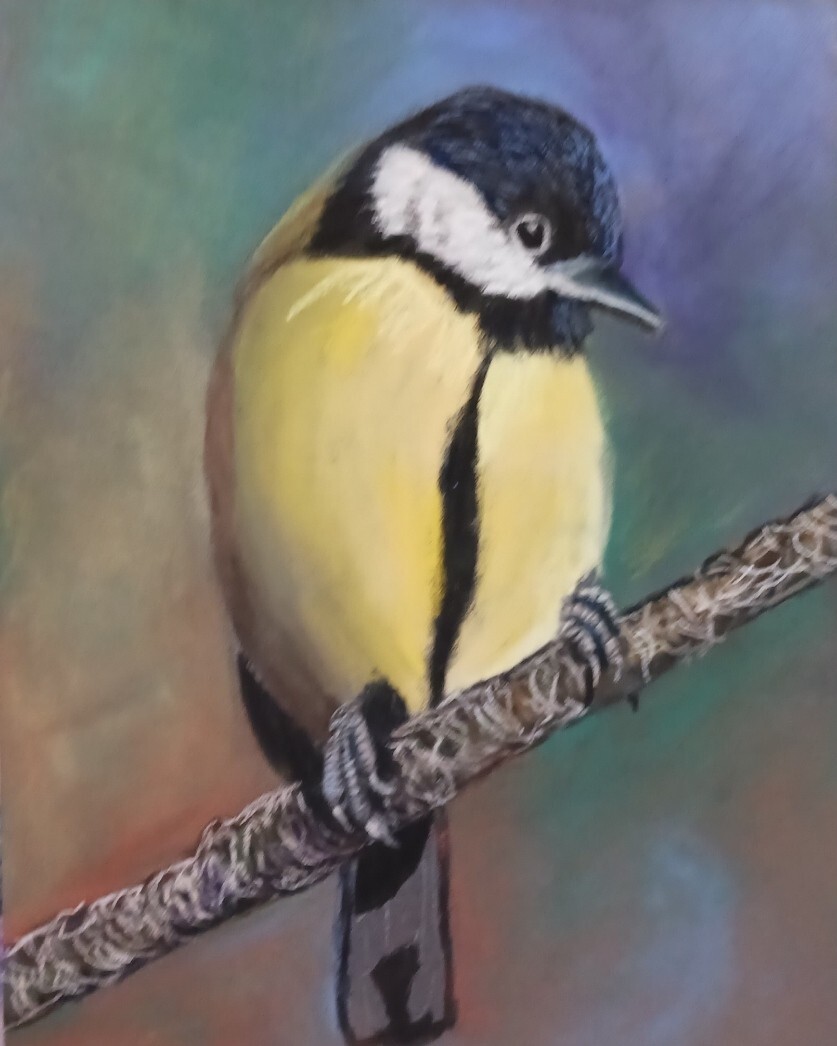 8×10 print on linen cardstock of a beautiful Bird perched on branch