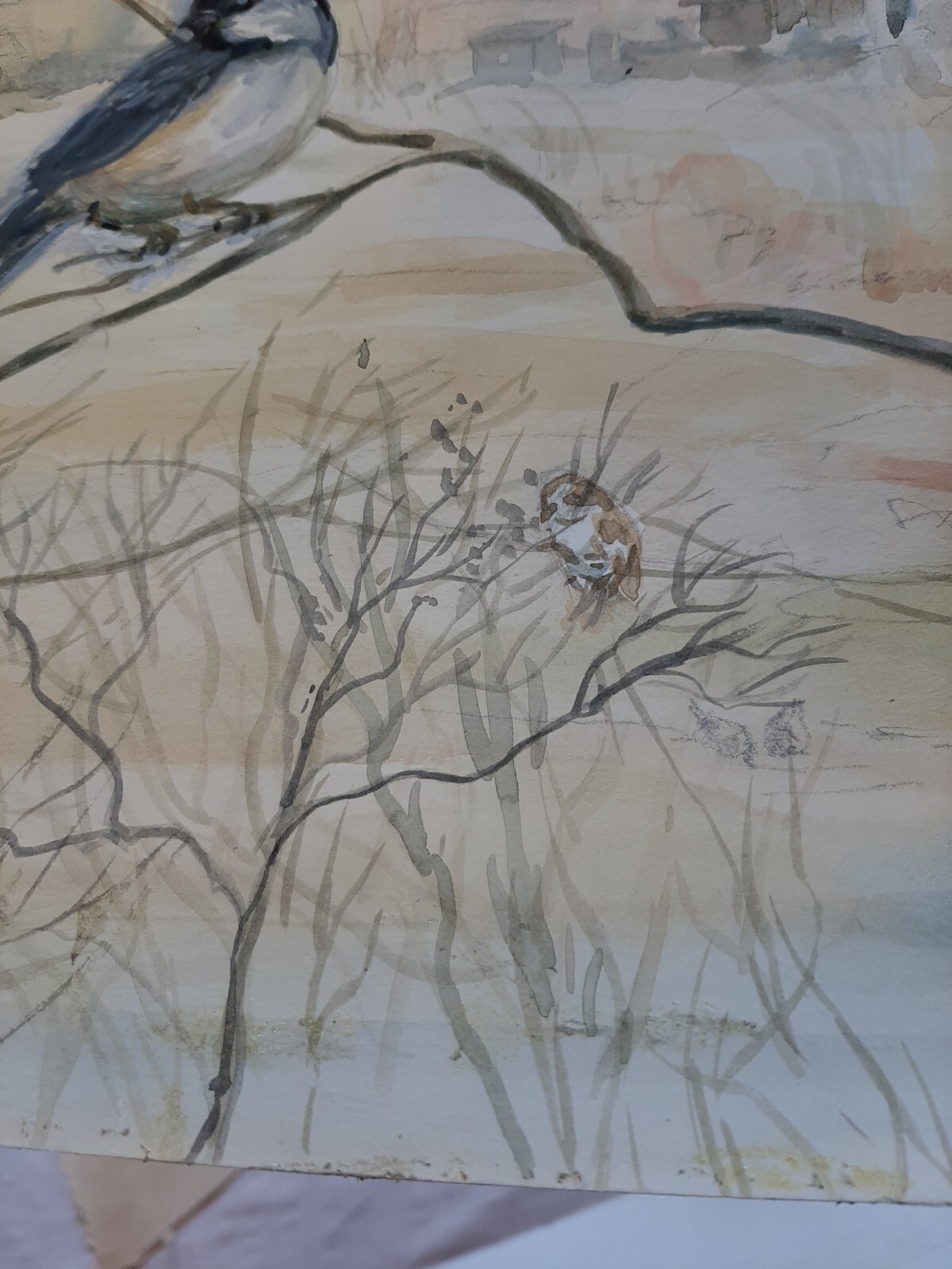 Orig Watercolor Landscape Chickadee at Fitts Hill KAY CHRISTIE SHAW, Scituate MA