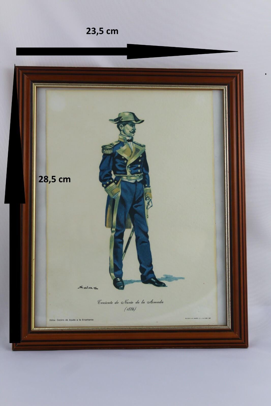 DOLPHIN SALAS Navy Lieutenant Ship Sheet (1886) – Framed and Glass