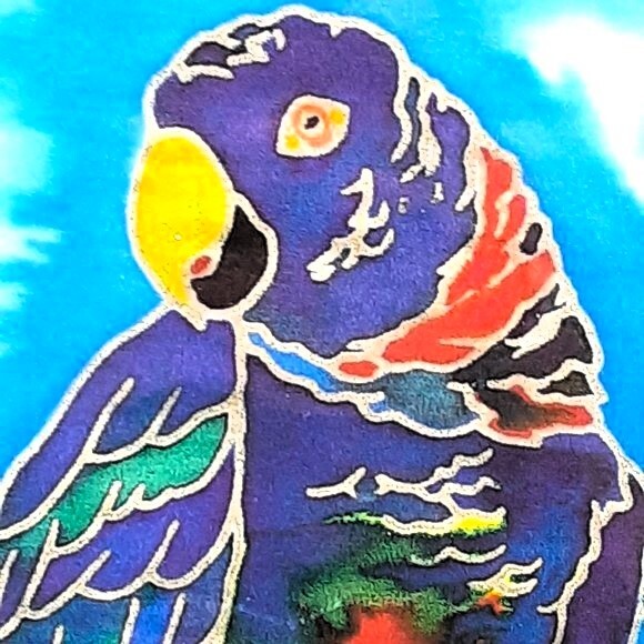 Cloisonne Style Water Colored Framed and Matted Beautiful Multi-Colored Parrot
