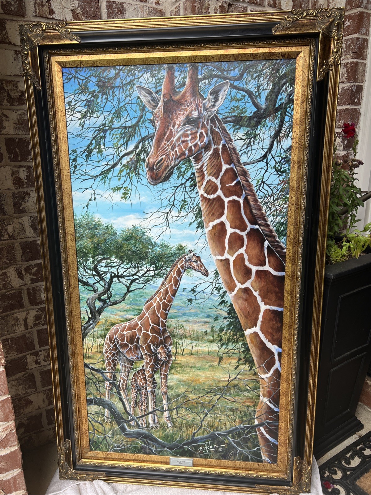 Smithsonian’s William B. Adair Painting Gold Leaf Studios Frame African Giraffes