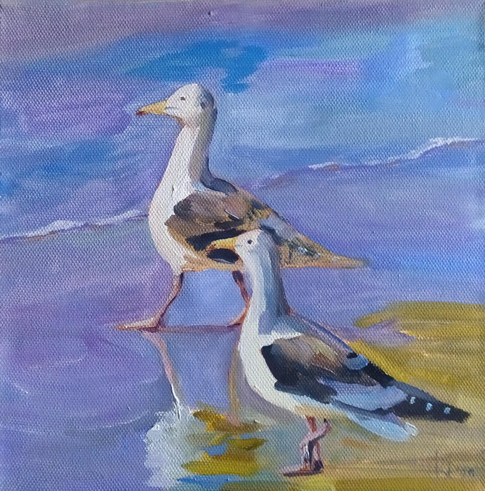 oil painting on canvas original art with two seagulls on the seacoast