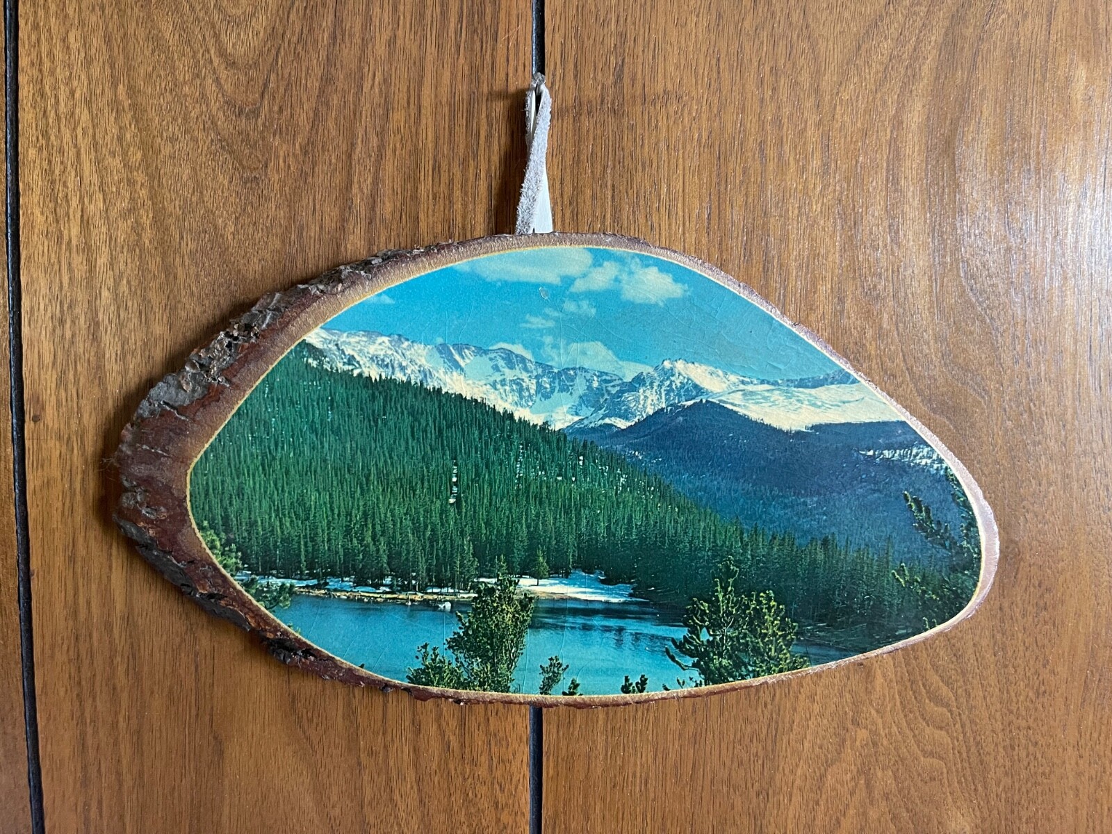 VTG Souvenir 60-70s Echo Lake Colorado Photo Resin Wood Slab Cabin Cottage Core