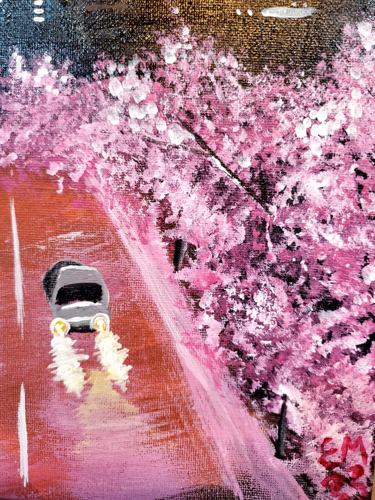 Cherry Blossom City