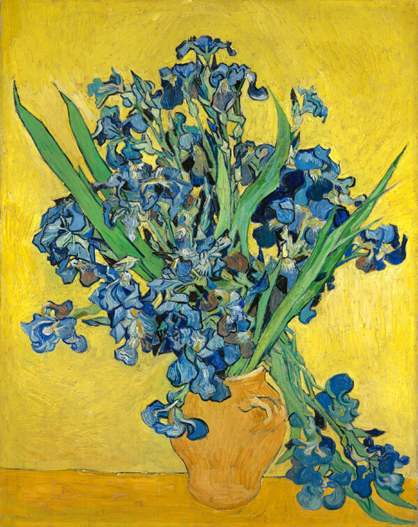 Irises by Vincent van Gogh Oil painting art Giclee printed on canvas L2401