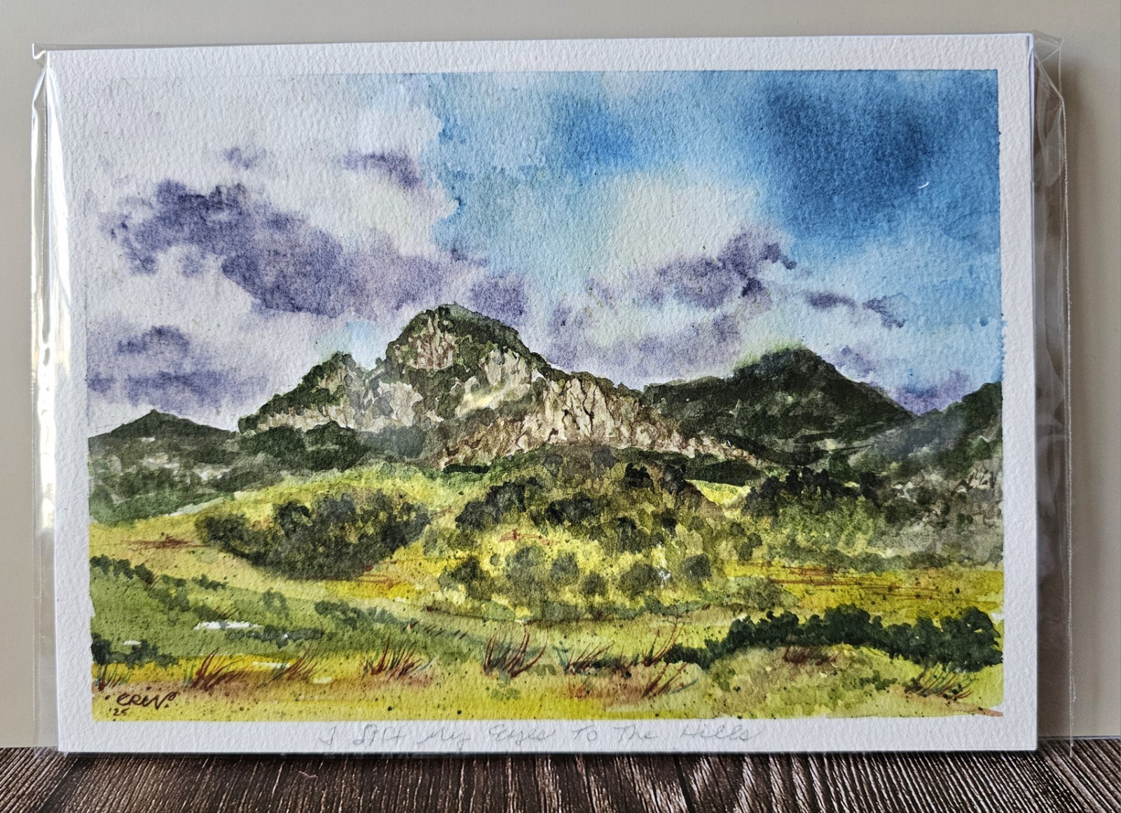 NEW Orig Watercolor Art Painting ‘Lift My Eyes’ 8.5×6.5″ Backing/Slipcover