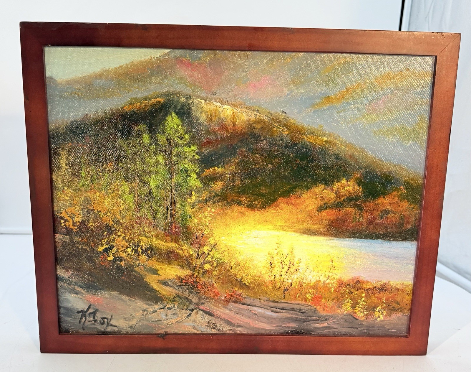 Original Framed Oil Painting By Artist Kathy Fox “All The Light That Shines”