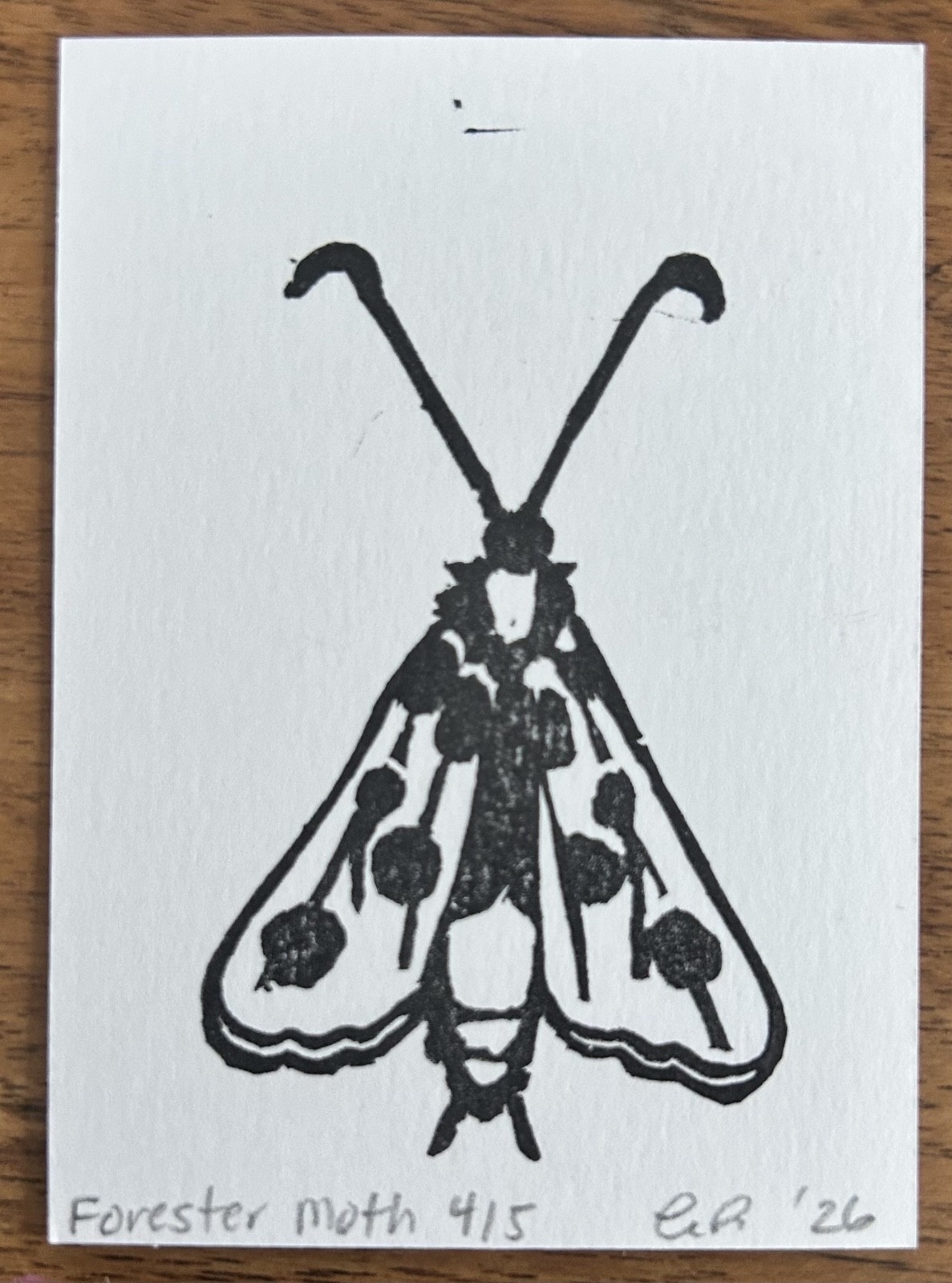 aceo original art by Emily Beck, Forester Moth 4/5, linocut insect art, 3.5×25″