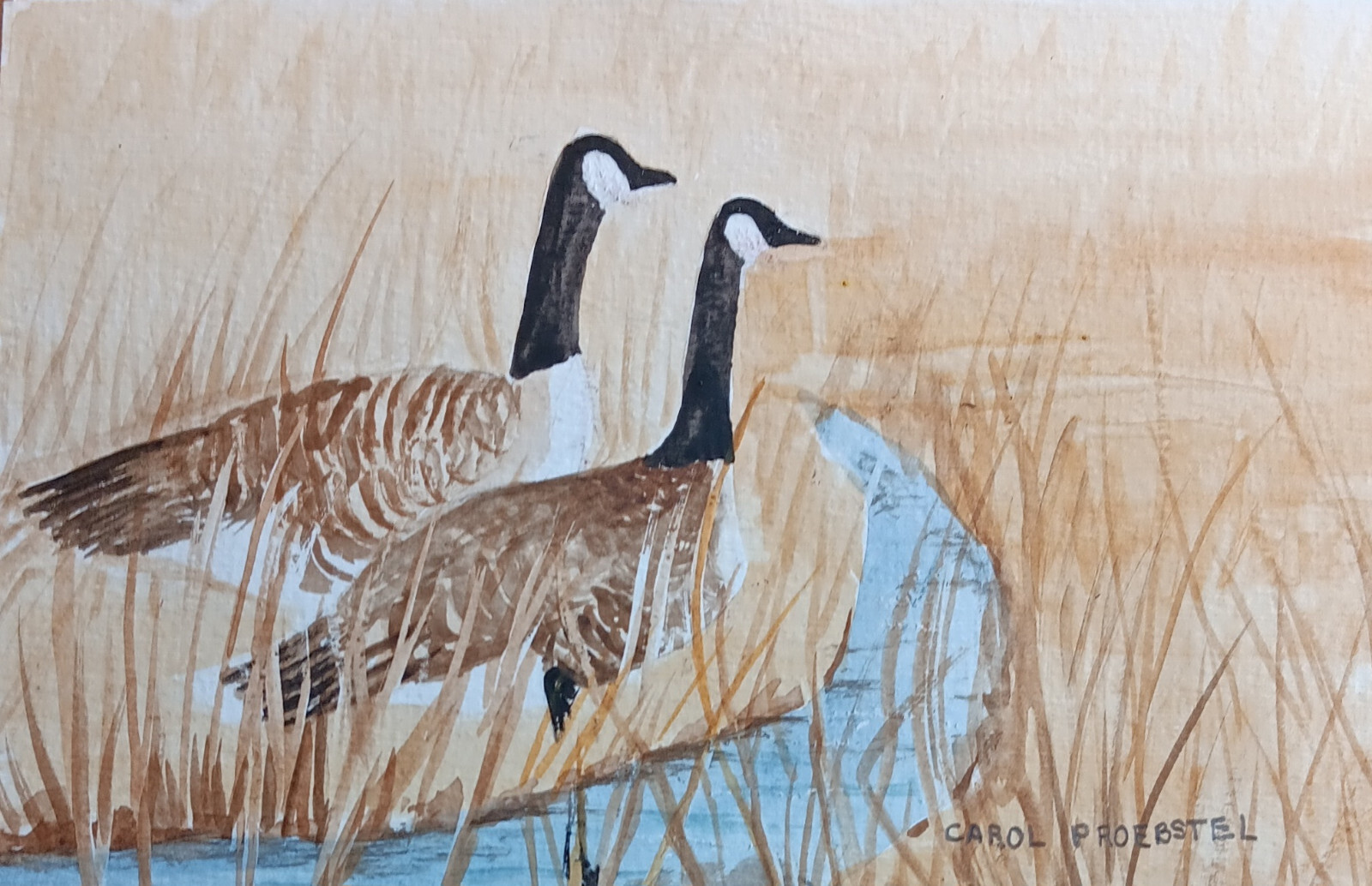 Canada geese waterfowl wildlife original watercolor painting Carol Proebstel