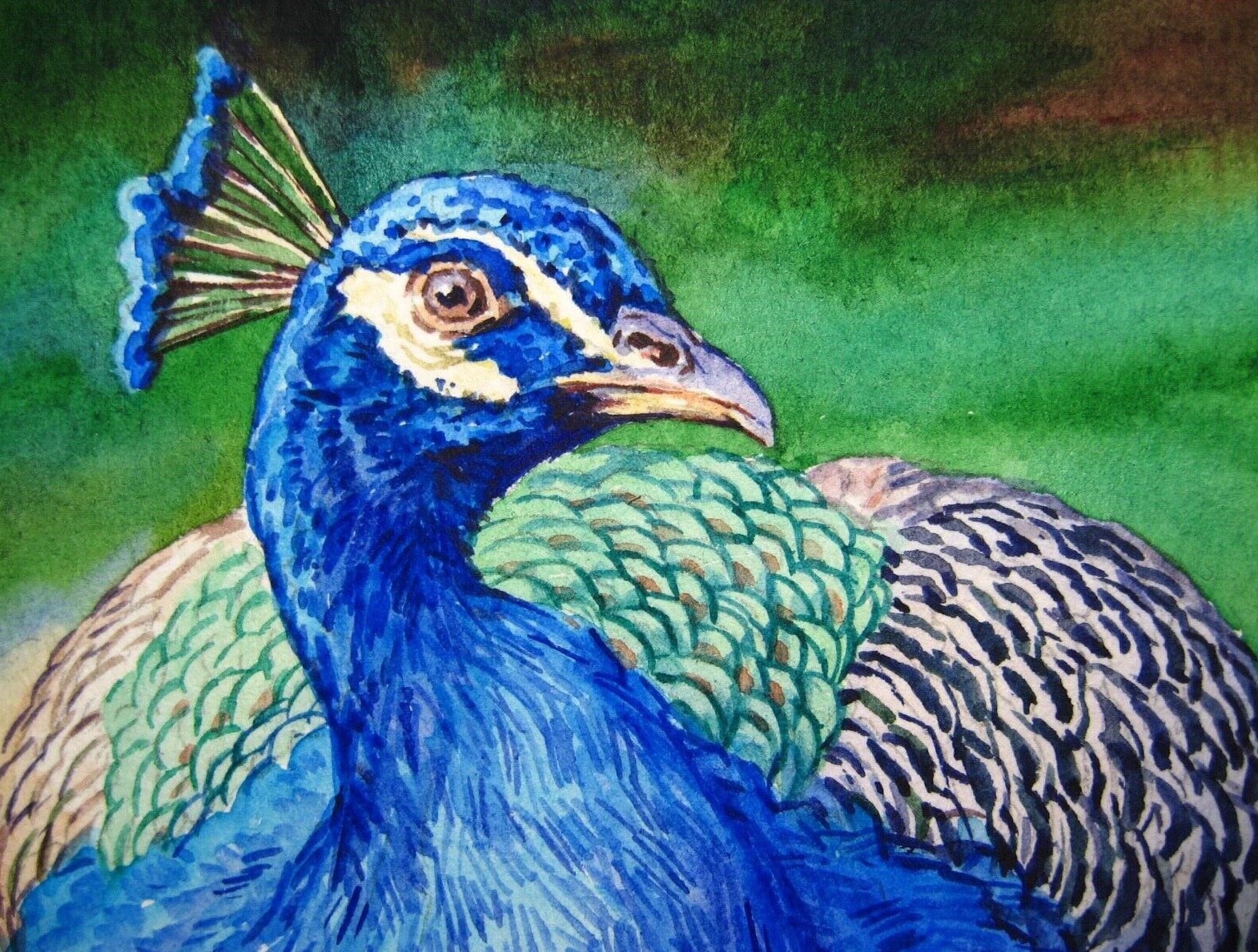 Watercolor Painting Peacock Bird Male Animals Nature ACEO Art