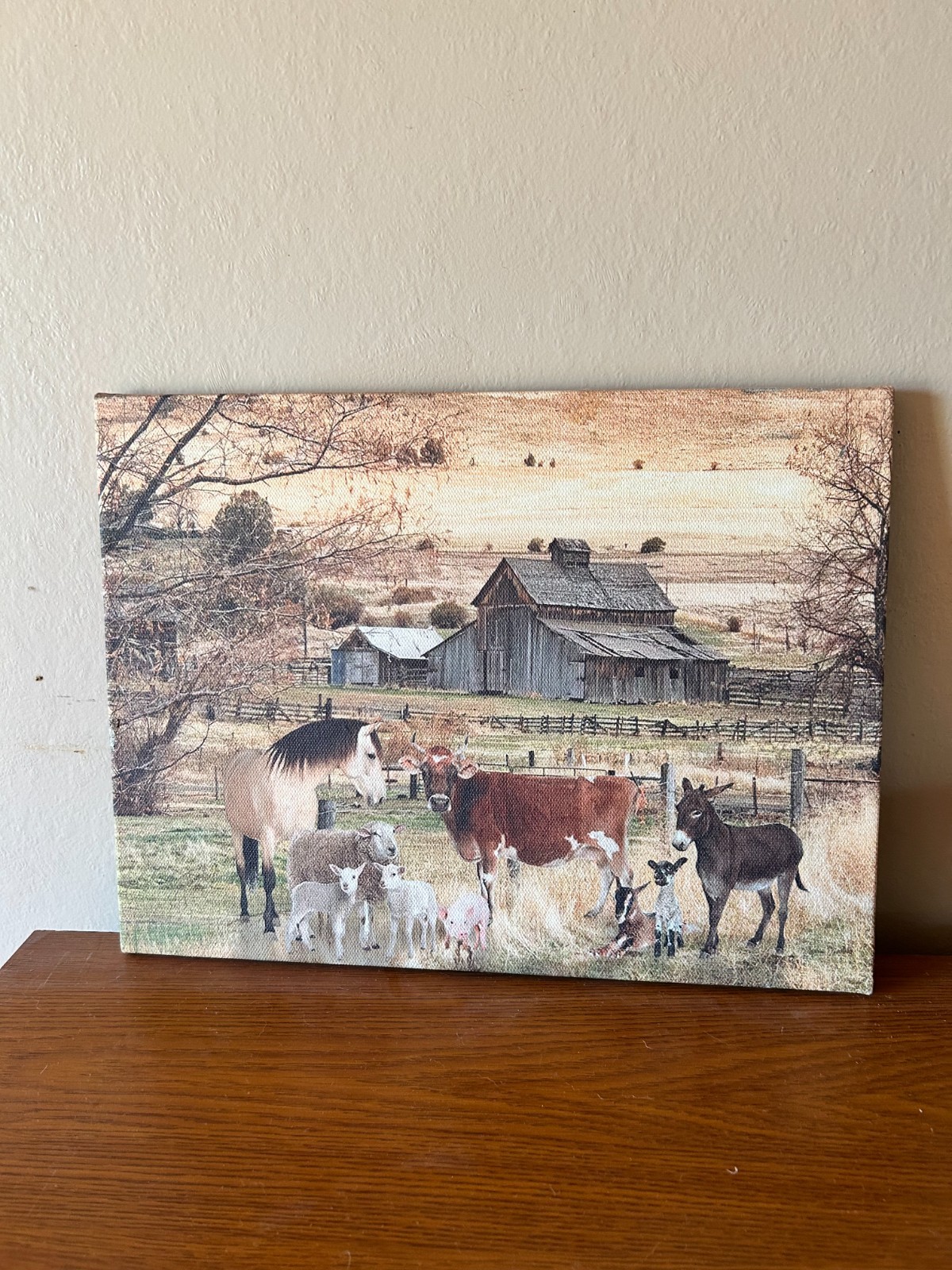 FARM ANIMALS enjoying life on the farm!