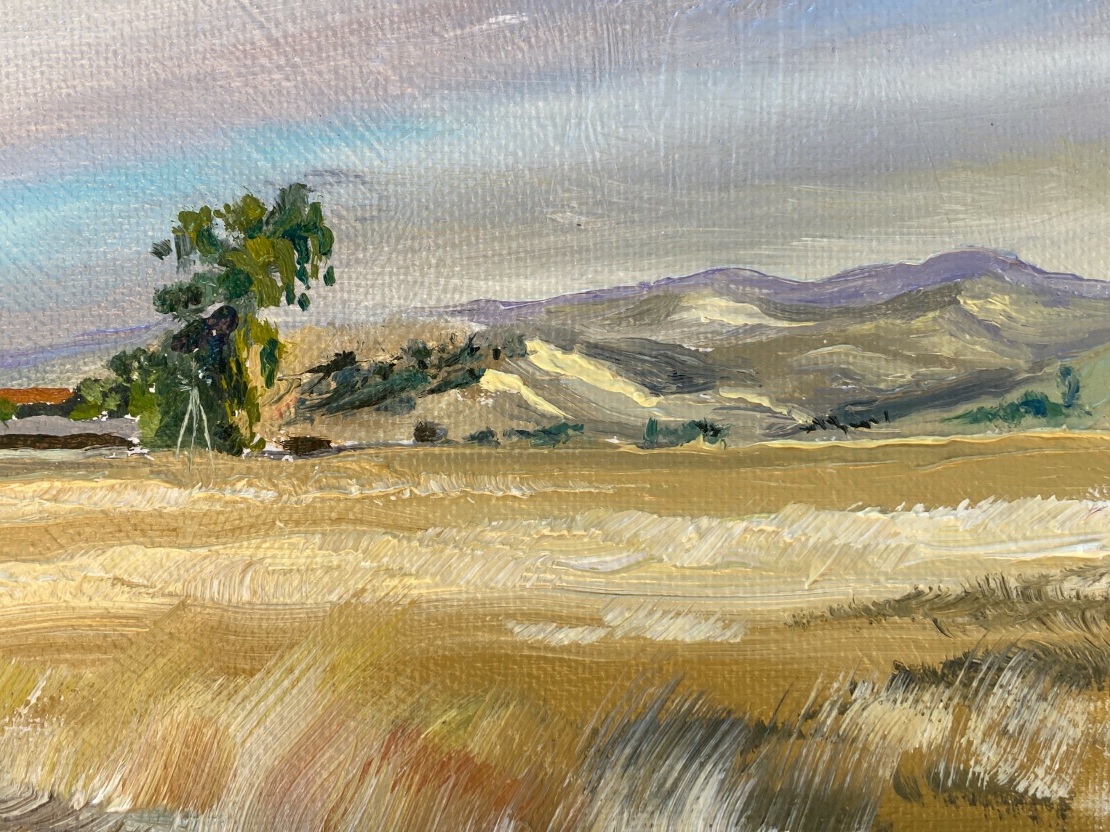 US Dept State Recognized artist: E. Merced foothills out Cunningham Rd