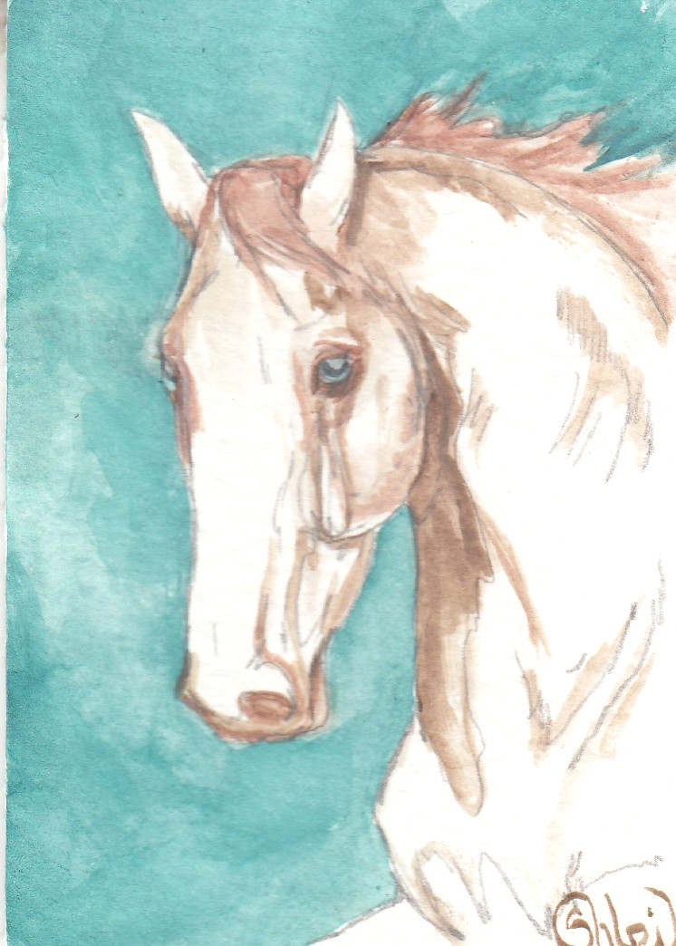 ACEO original Watercolor Art Card HORSE perlino double cream heavy Sporthorse