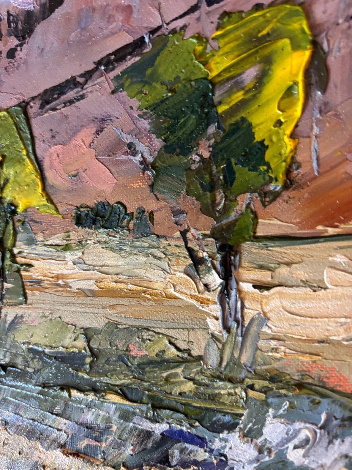 Joel Cooley’s GREEN DESERT