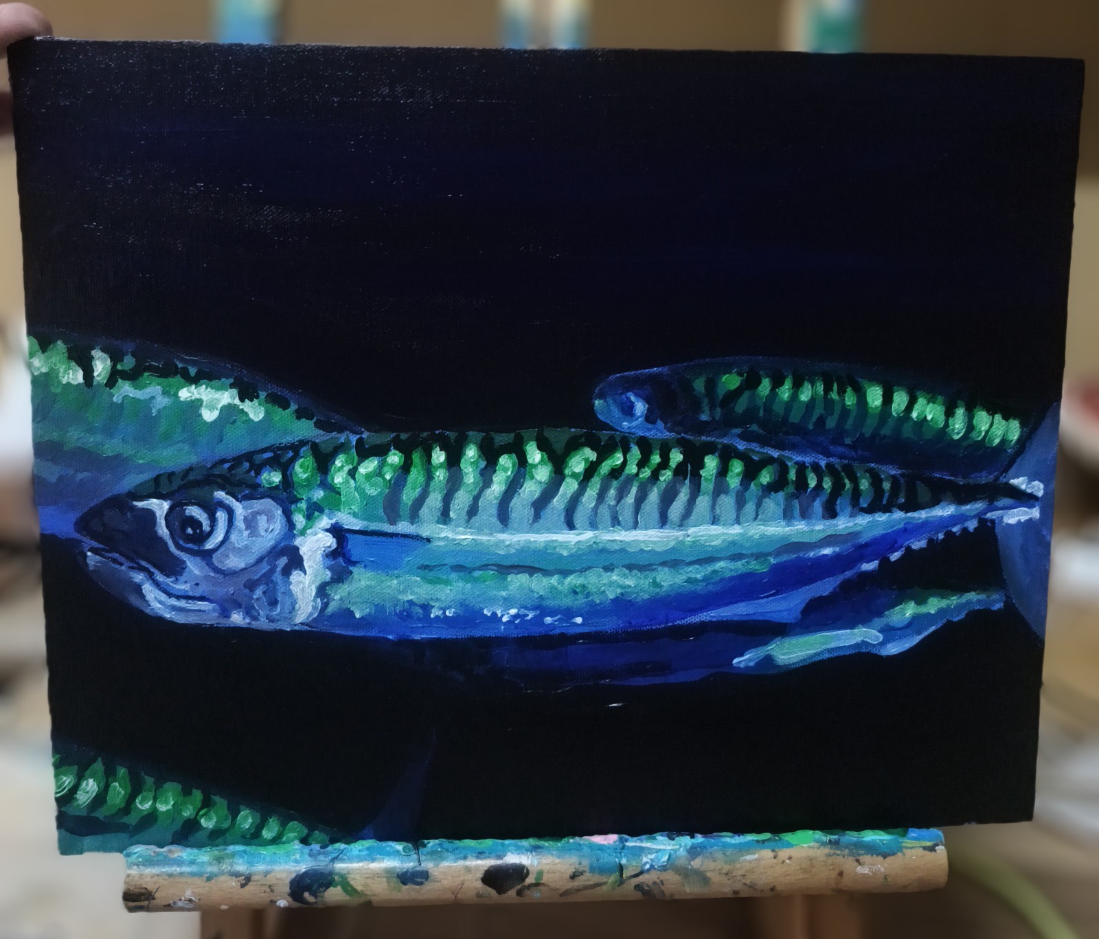 Atlantic Mackerel, original painting 11×14 Hard Board Panel Canvas.