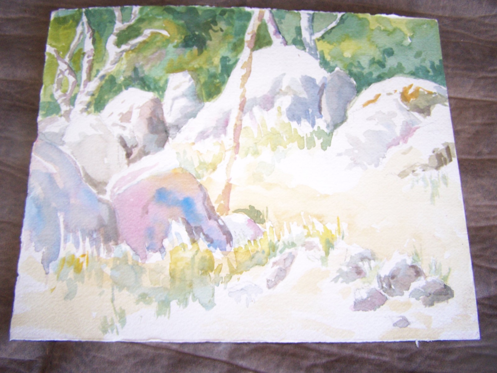 Original Watercolor by Peg Humphreys Boulders in Nature 13 1/2 «x 11»
