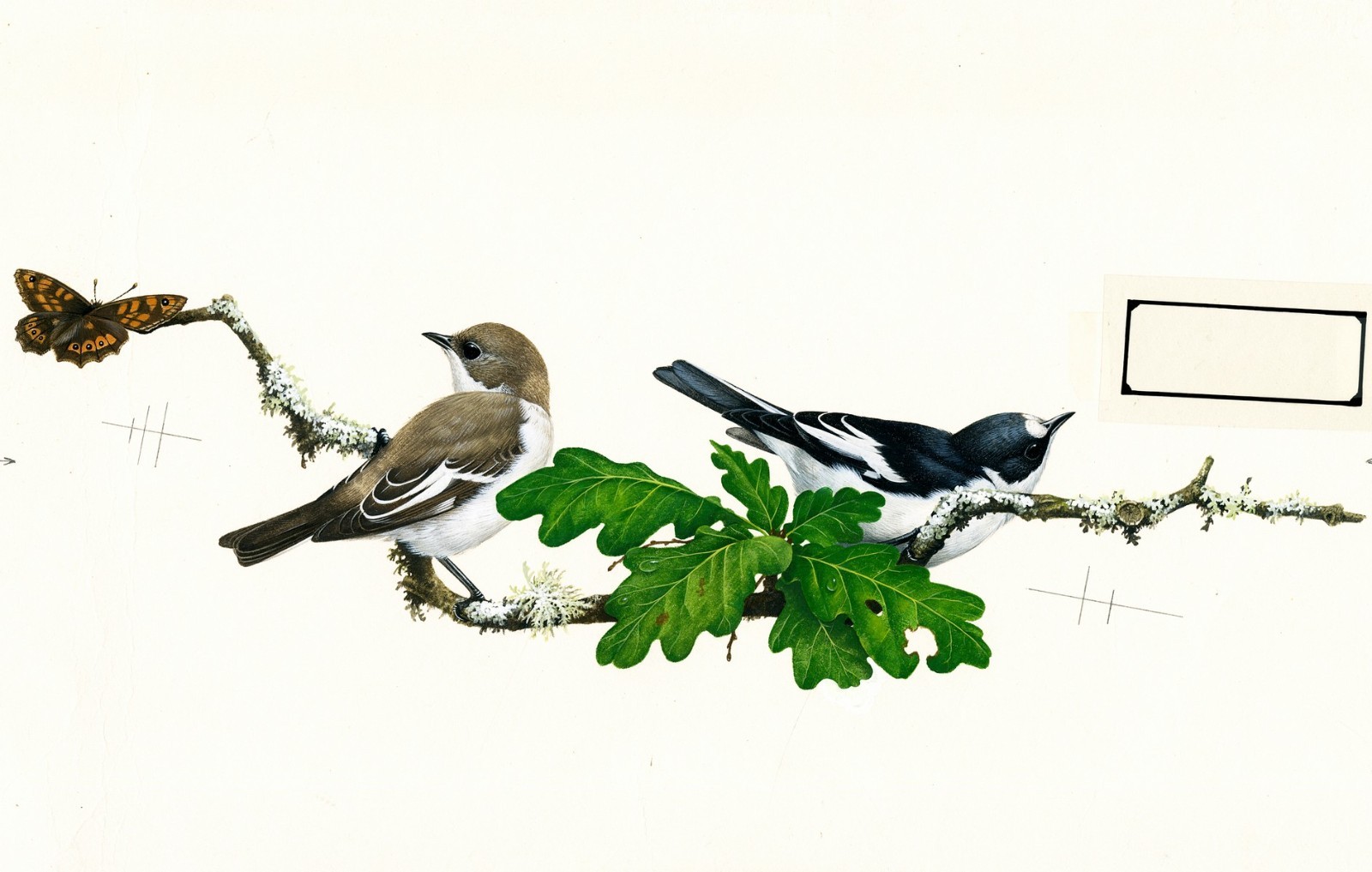 Terence Lambert (UK,b 1951) gouache painting 150619
