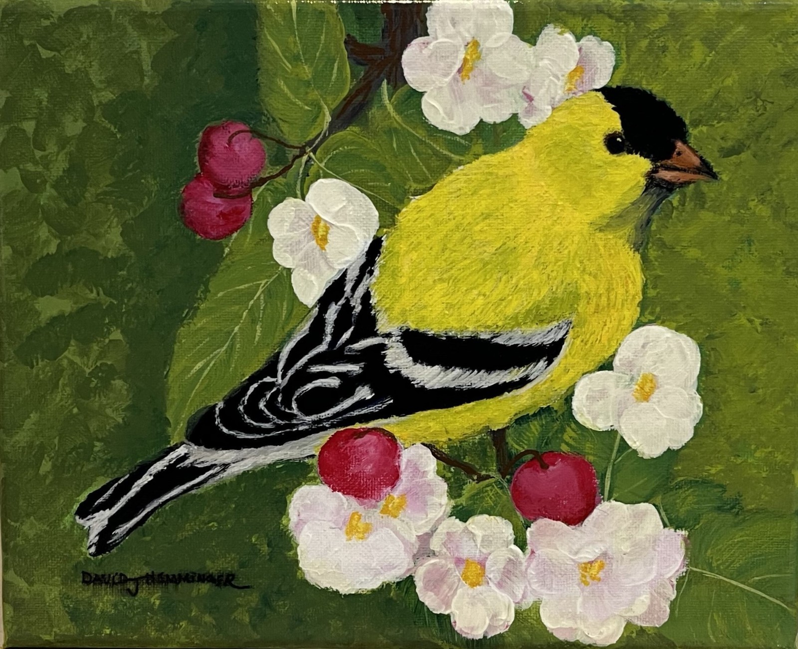 Finch, small birds, song birds, colorful birds, bird acrylic paintings,