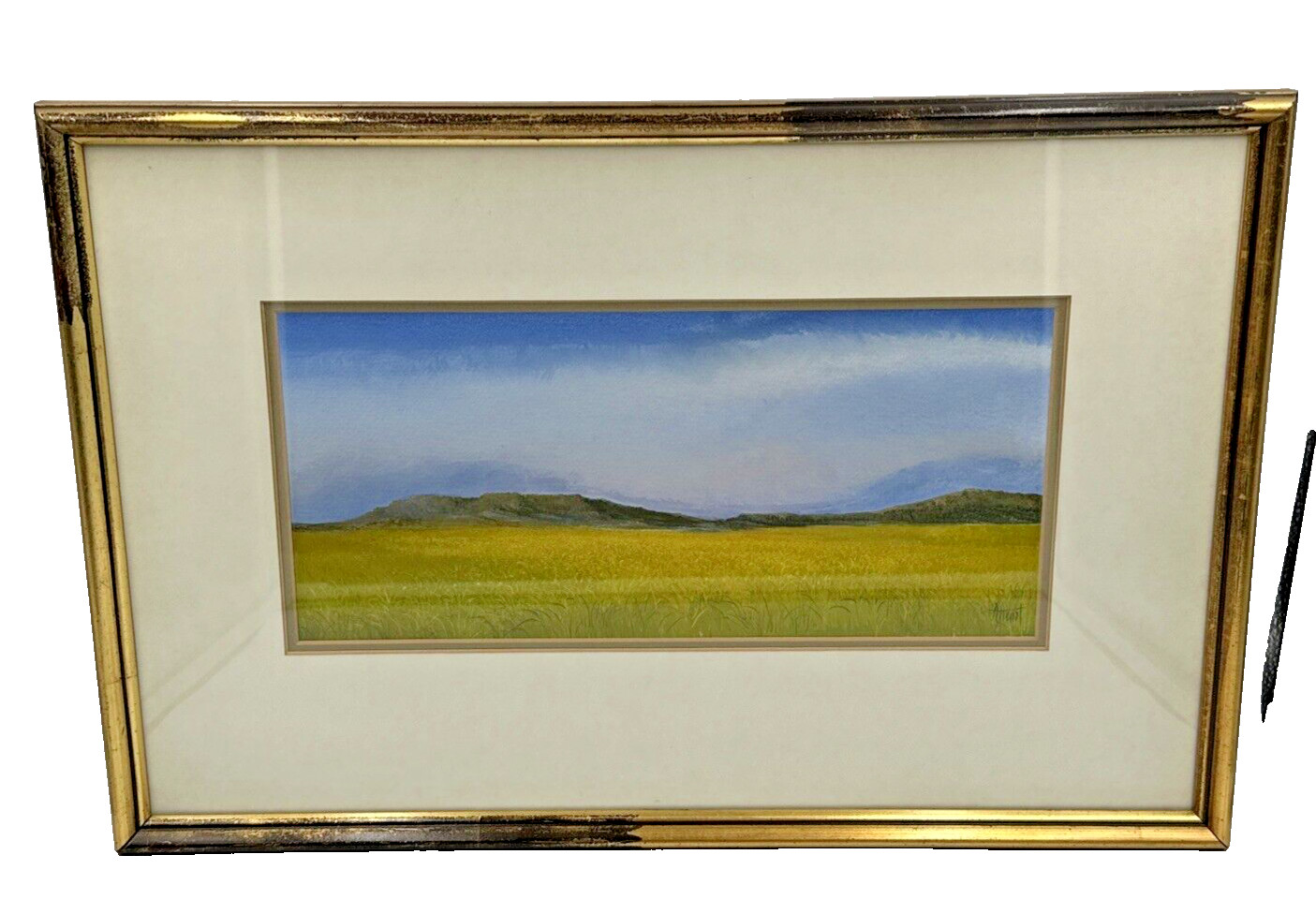Ann Hunt DISTANT HAZE Acrylic on Paper Fort Worth Artist Original Hillside Grass