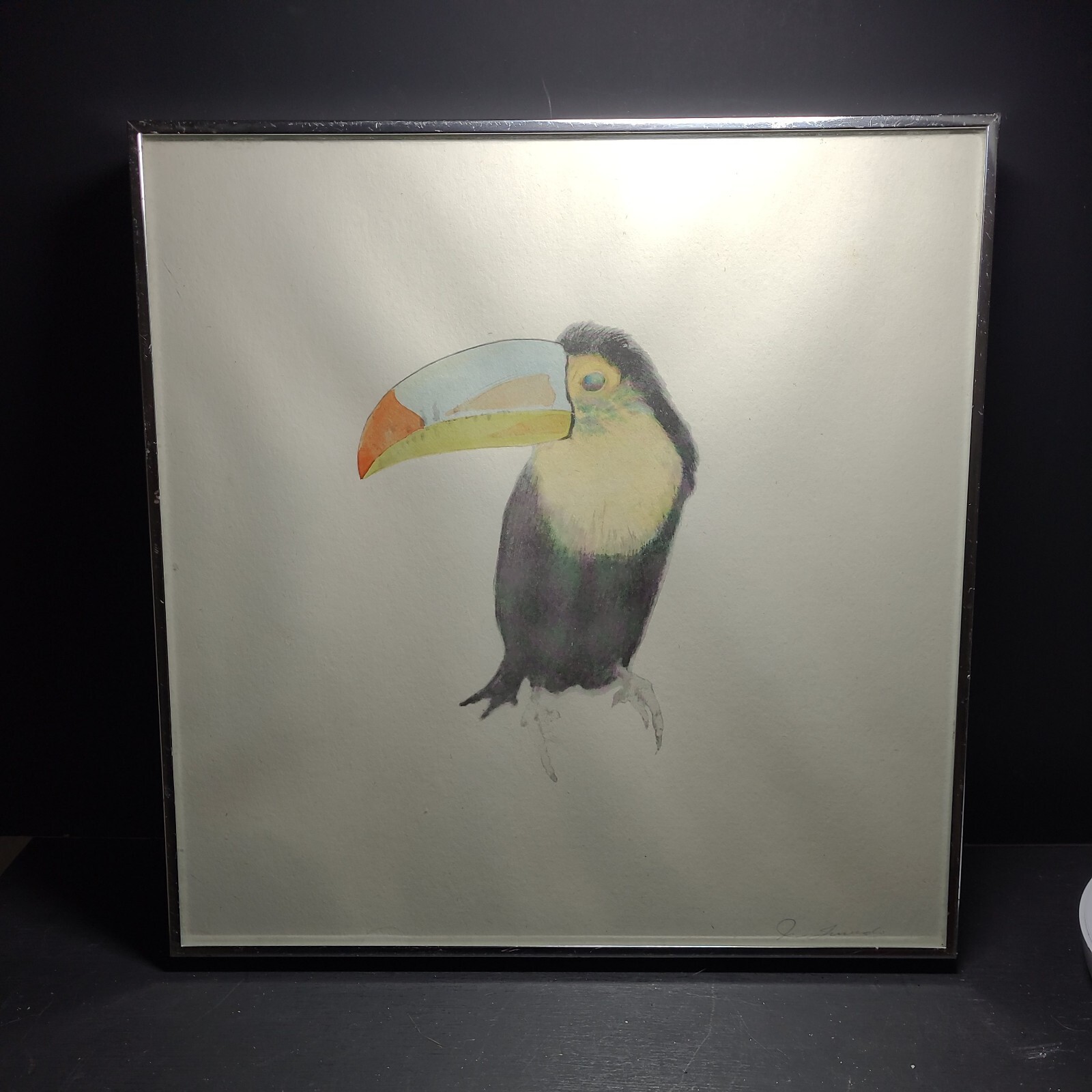 Toucan Watercolor framed signed