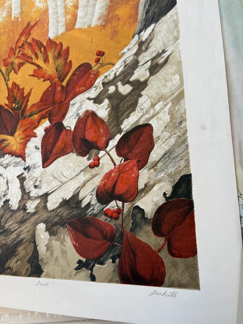 Autumn in the FOREST Hand Signed Limited Edition Artwork Print 57/200