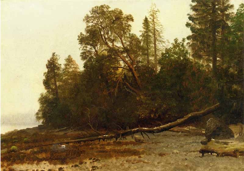 Handpainted Oil painting Albert Bierstadt – The Fallen Tree excellent landscape