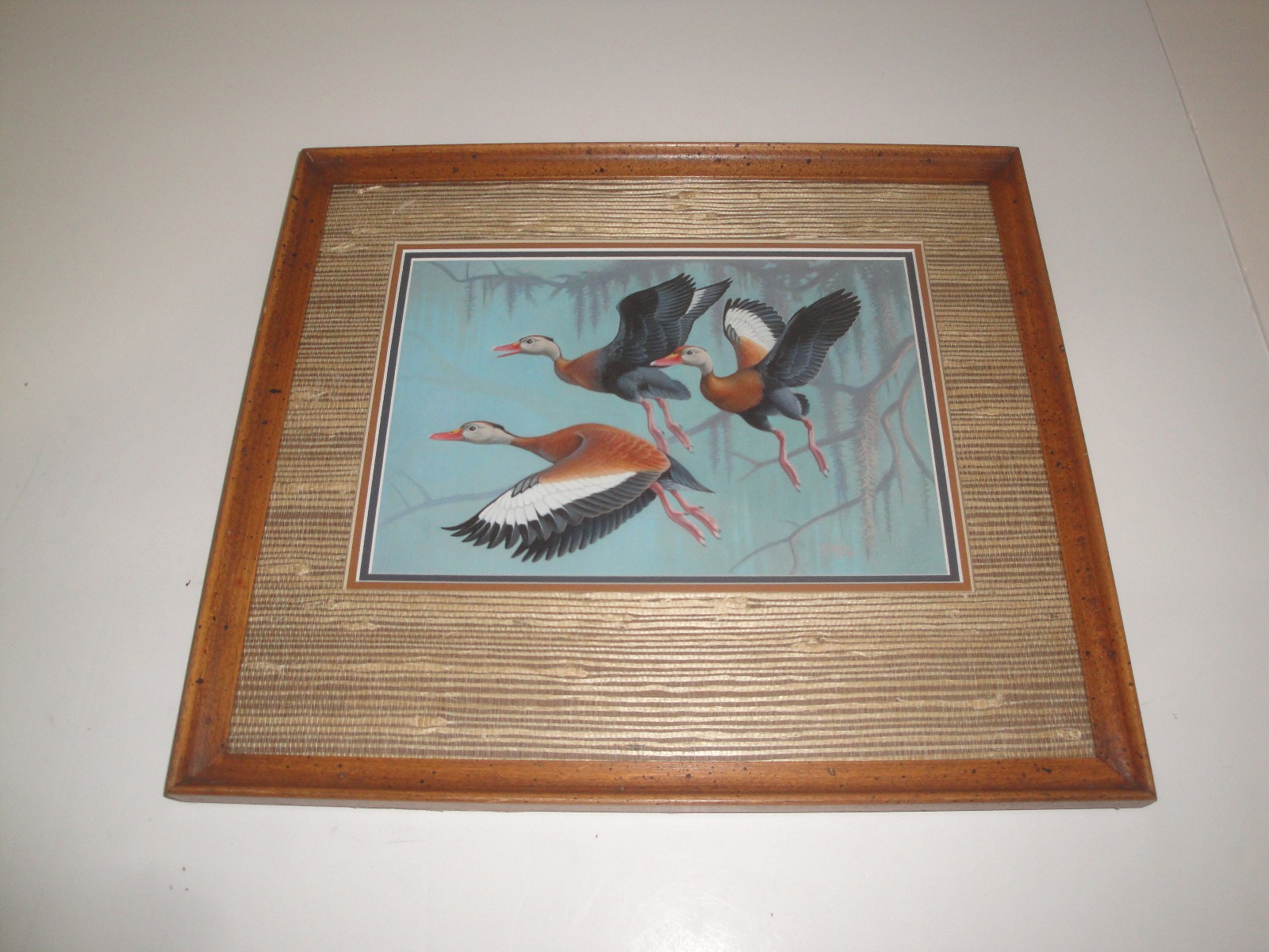 Federal Duck Stamp Winner Ron Jenkins Original Duck Stamp Entry LOOK!
