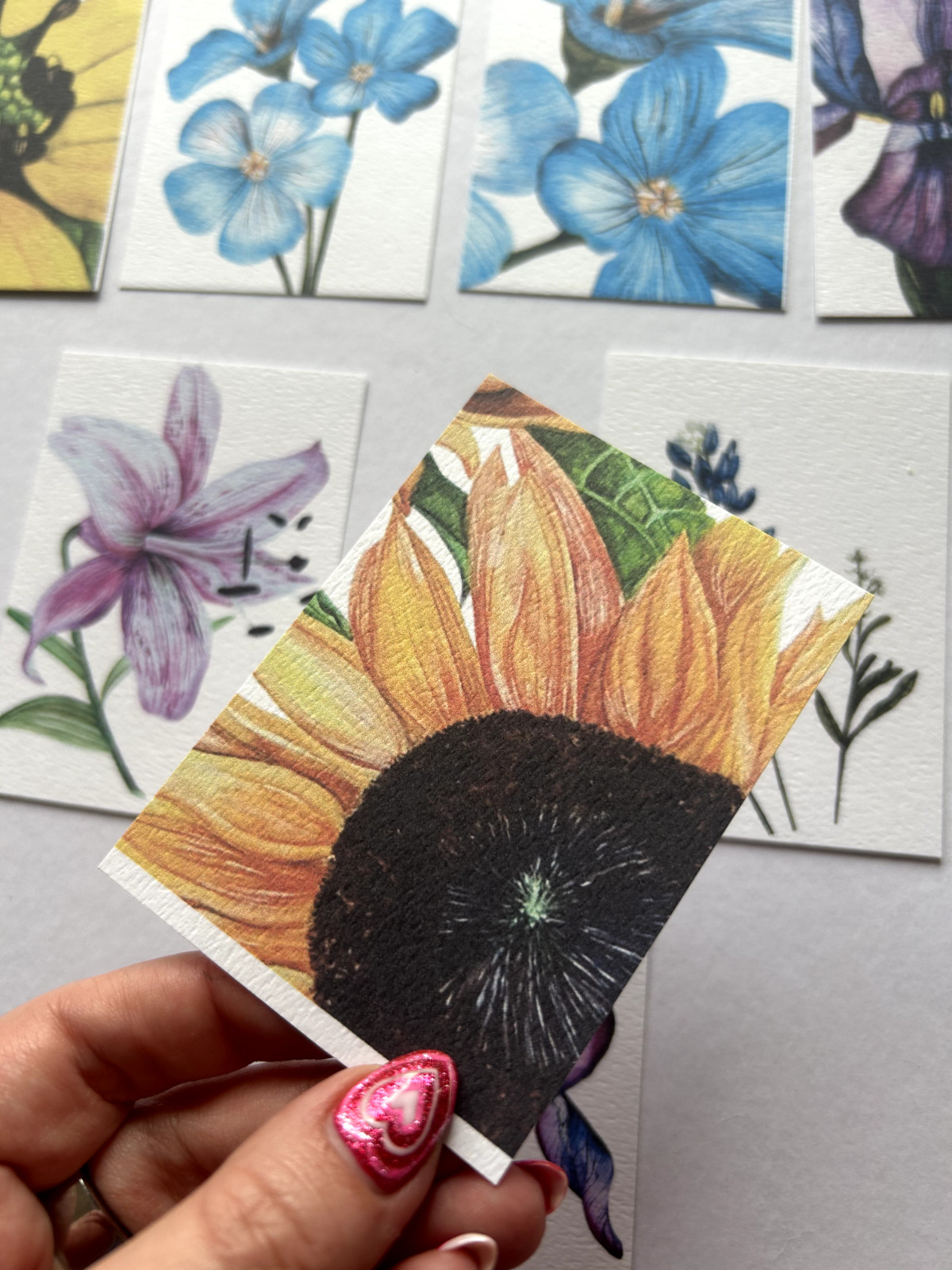 ACEO Edition- Print. Sawyer Crane Flower Watercolor Texas Sunflower Wildflower