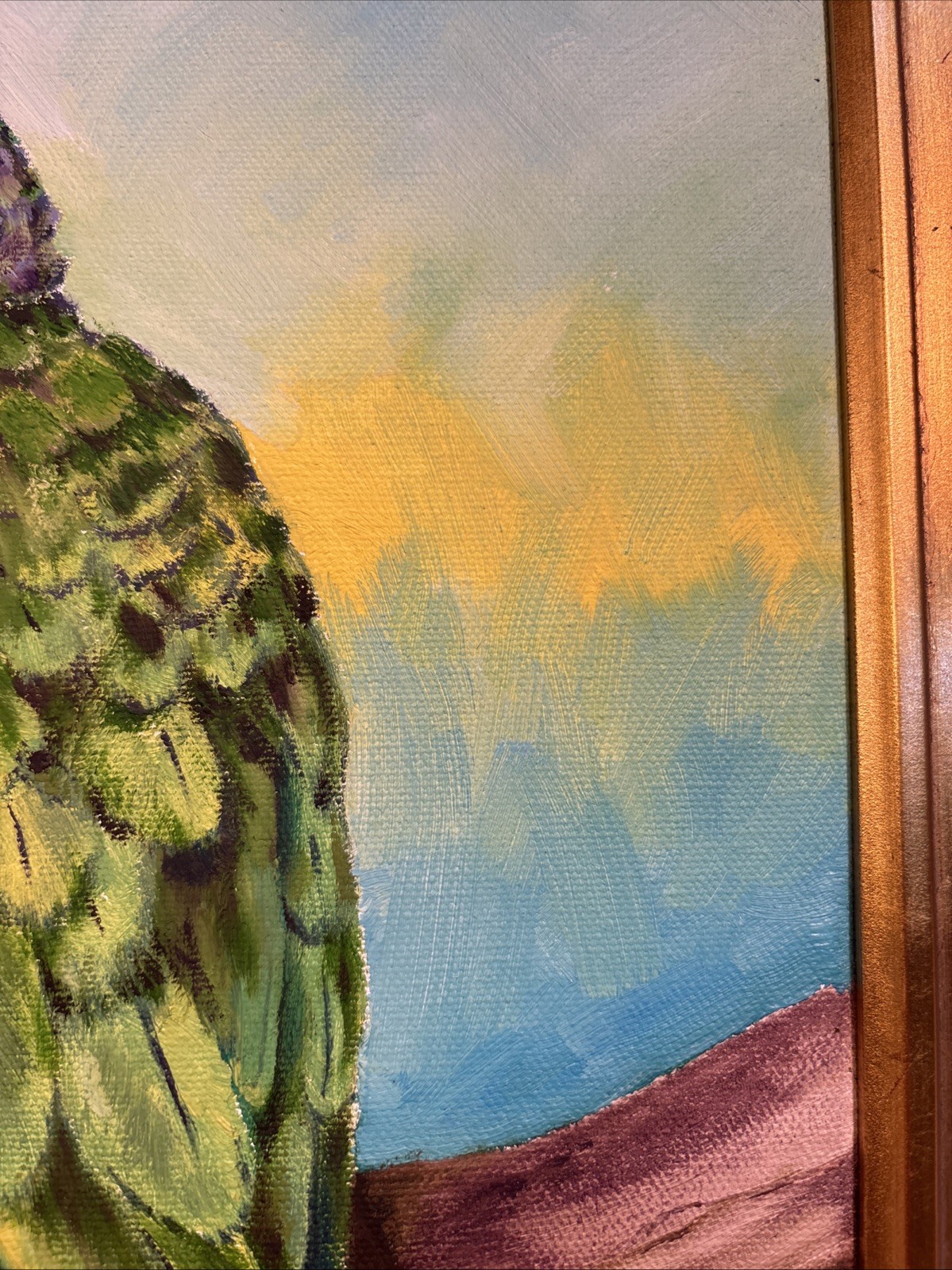 Framed Paint On Canvas Art Of A Parrot Signed By Artist. B. Carswell 16”-19”