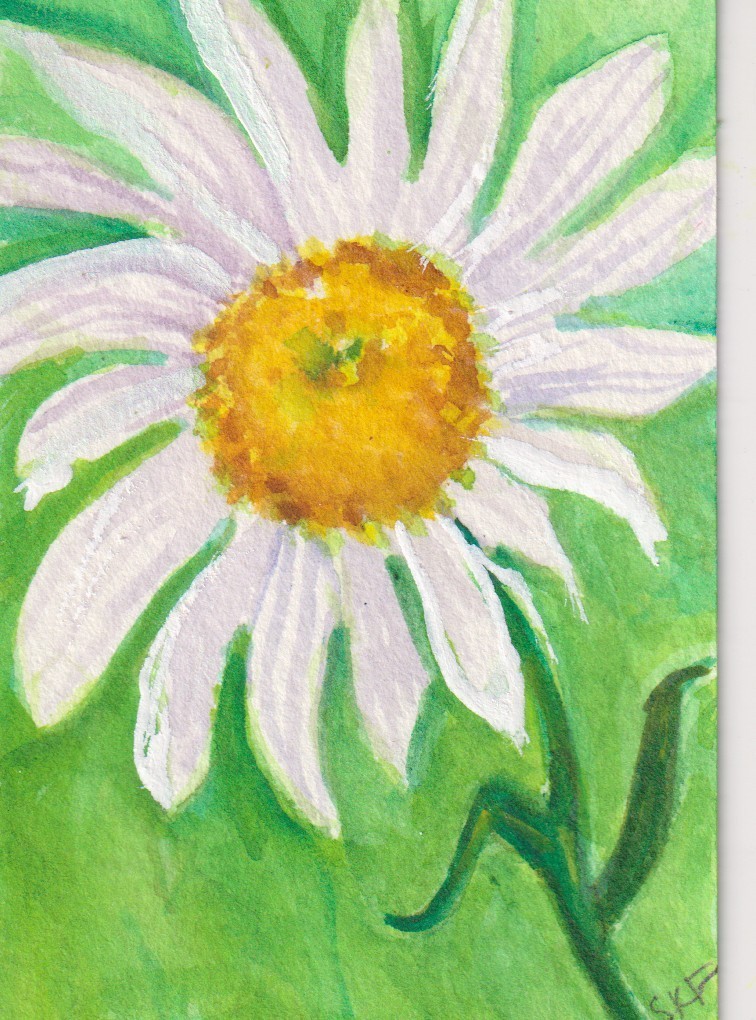 White Daisy Flower on stem ACEO Original Watercolor Painting, Sharon Foster