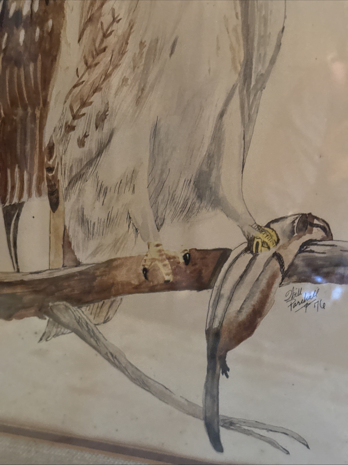 Vtg Bird Art Painting American Hawk Signed Neil Parchall 1976 Framed