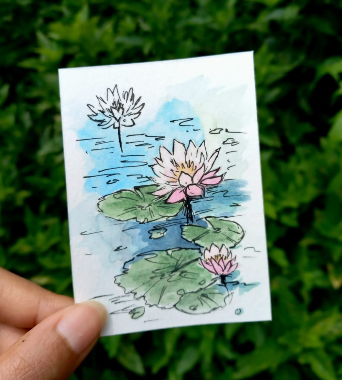 ACEO Original Watercolor Painting Water Lilies Pond Lotus Floral Botanical OOAK