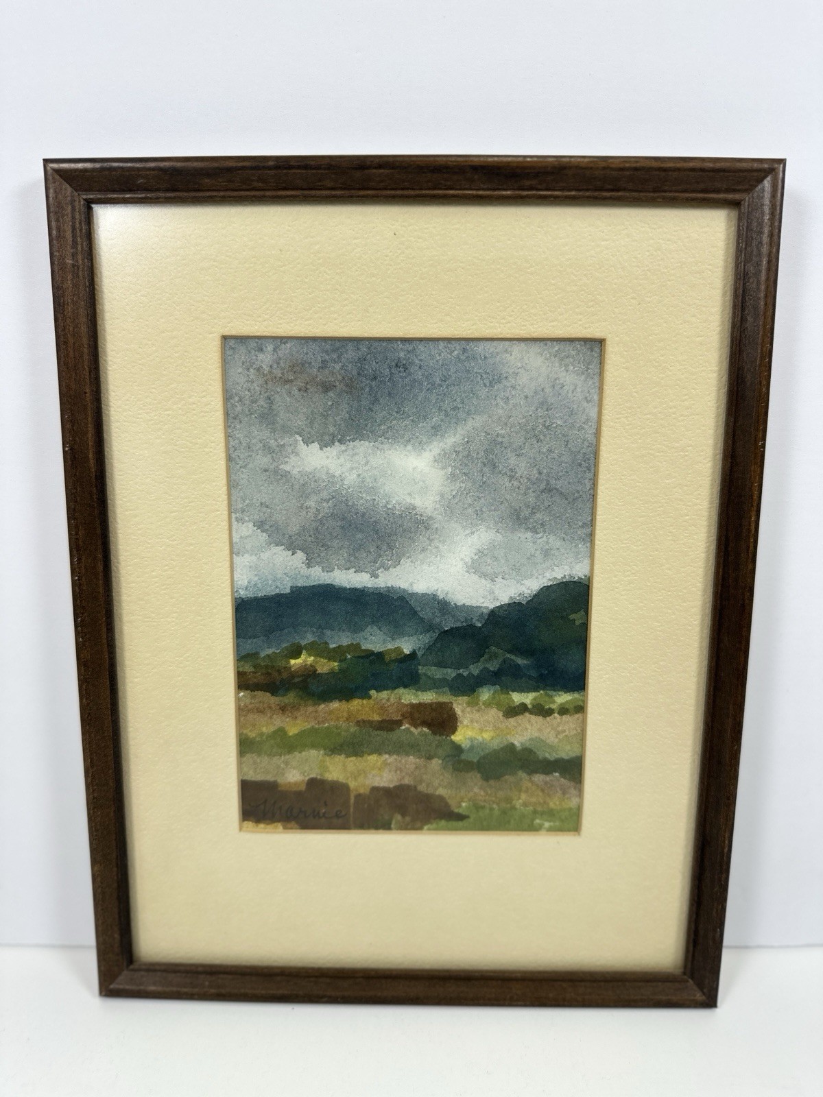 Marnie Leber Storm Coming Original Watercolor Painting Framed Landscape Art