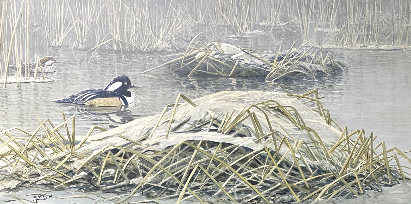 MICHAEL FRASE ORIGINAL BIRD/DUCK ART PAINTING HOODED MERGANSER PAIR, SIGNED, OIL